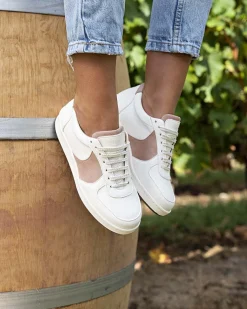 Minuit sur Terre Baskets<Cépage Rosé