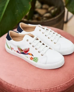 Minuit sur Terre Baskets<Virevolte Toucans